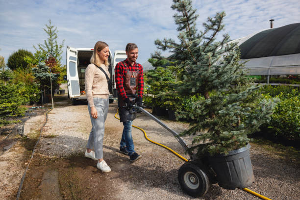 Lawn Watering Services in Decatur, TN